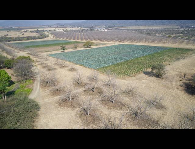31HA FARM FOR SALE IN WEENEN